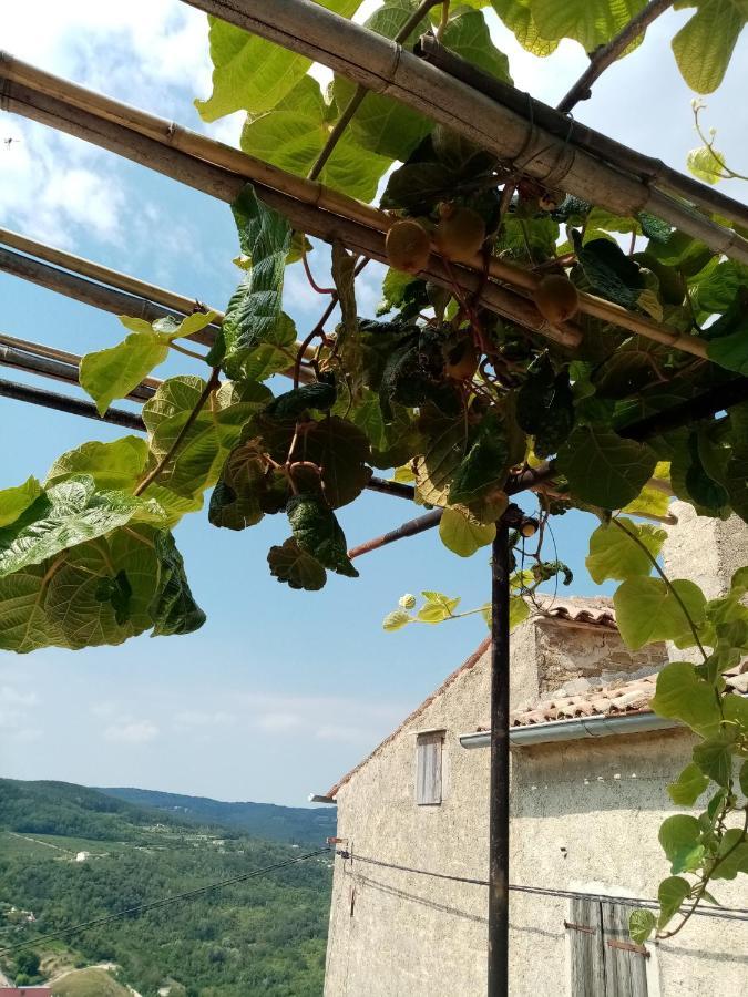 Rooms Serafin-Lavanda Motovun Esterno foto